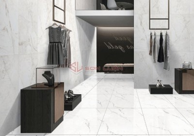 Gạch Ốp Lát APODIO 66181004